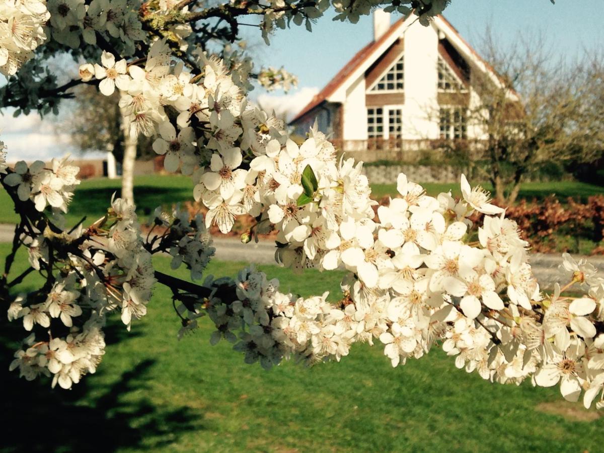 Margretelyst Bed and Breakfast Farsø Exteriör bild
