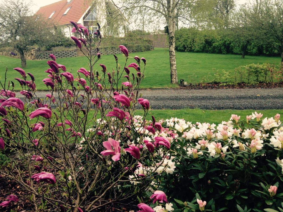 Margretelyst Bed and Breakfast Farsø Exteriör bild